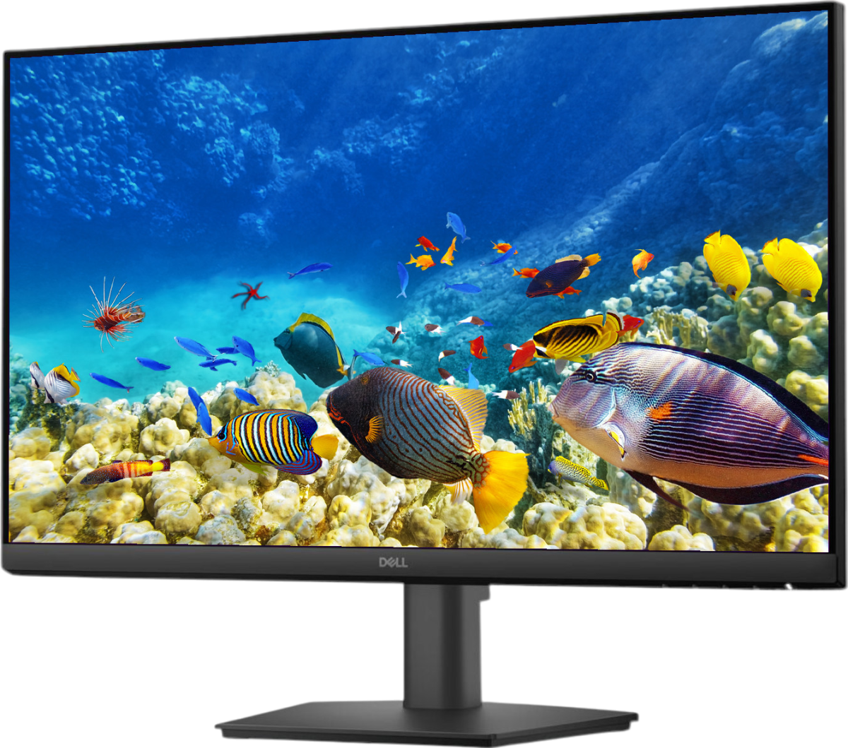 Dell Pro 24 Monitor - E2425HM