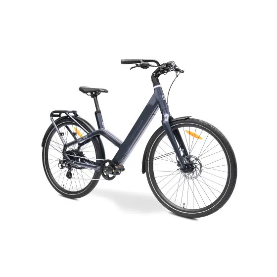 MS ENERGY eBike Veles grey_REG