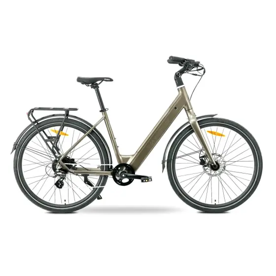 MS ENERGY eBike Zorya bronze_REG