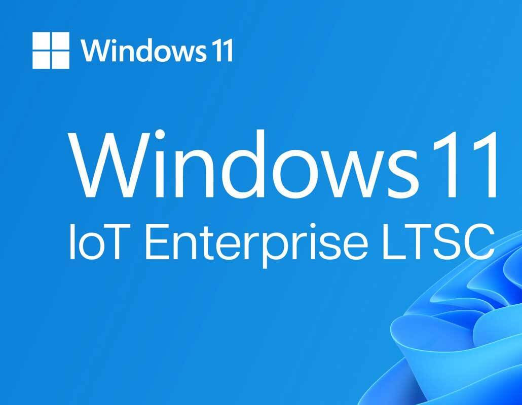 Win 11 IoT Ent LTSC 2024 ESD OEI High End